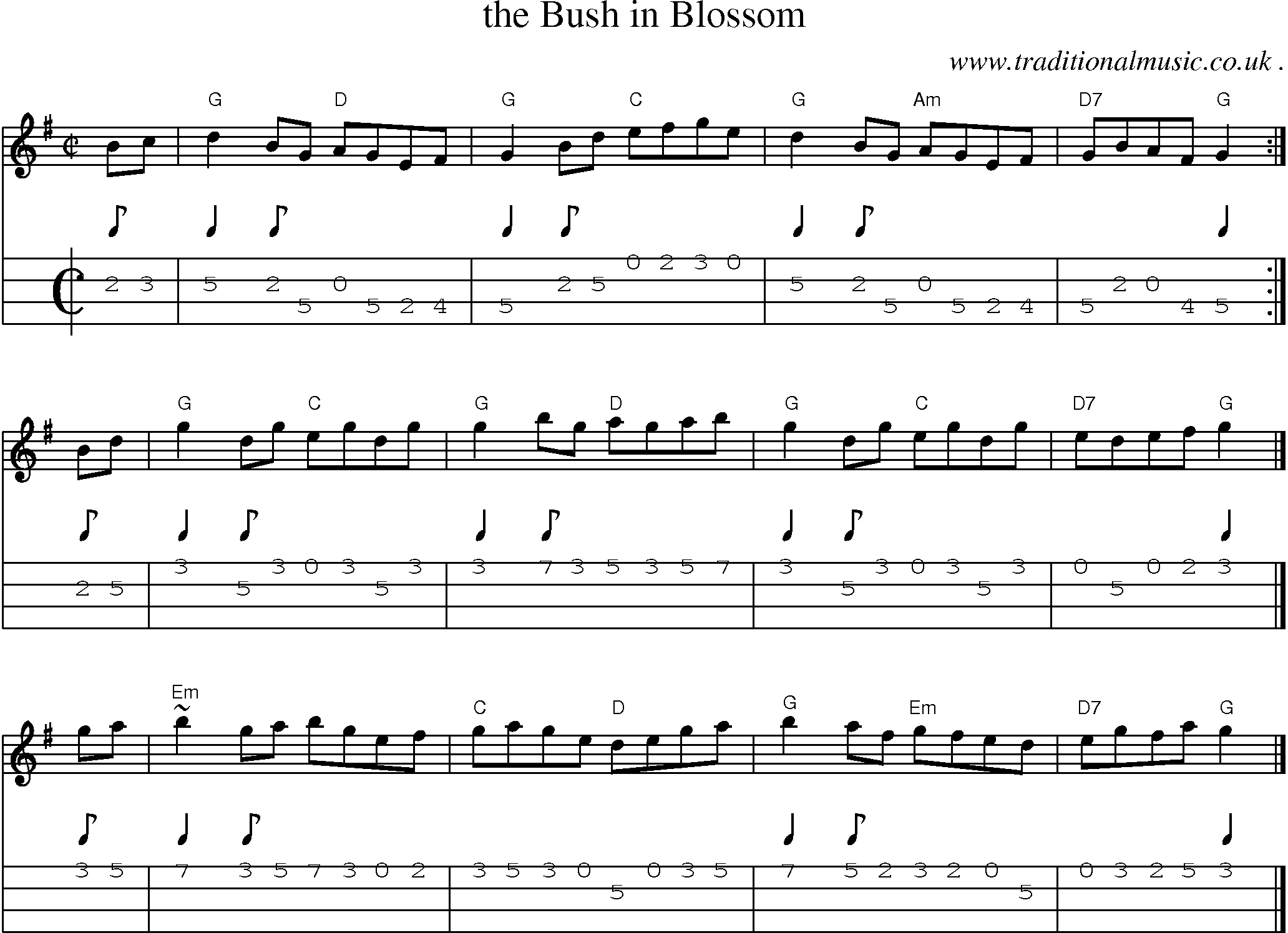 Sheet-music  score, Chords and Mandolin Tabs for The Bush In Blossom