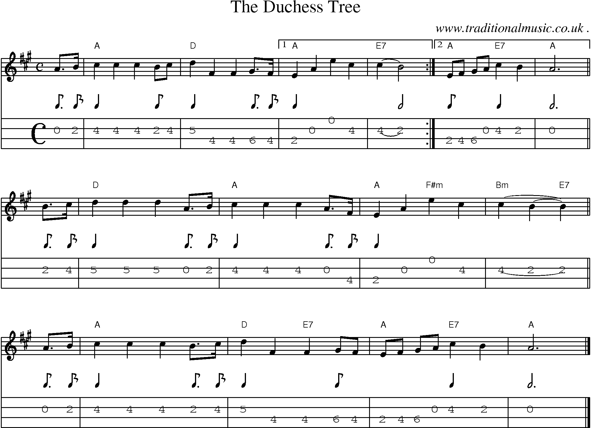 Sheet-music  score, Chords and Mandolin Tabs for The Duchess Tree