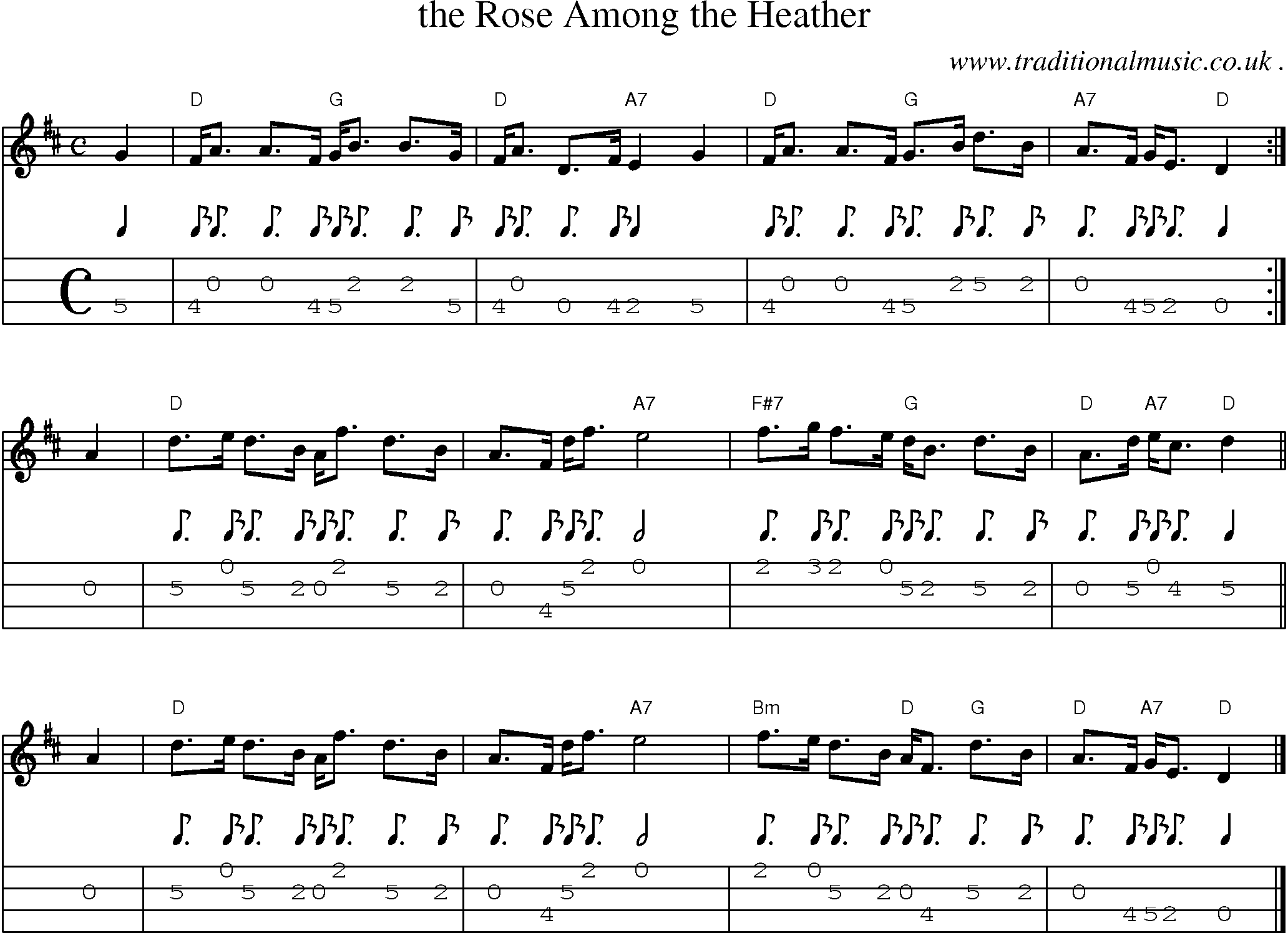 Sheet-music  score, Chords and Mandolin Tabs for The Rose Among The Heather