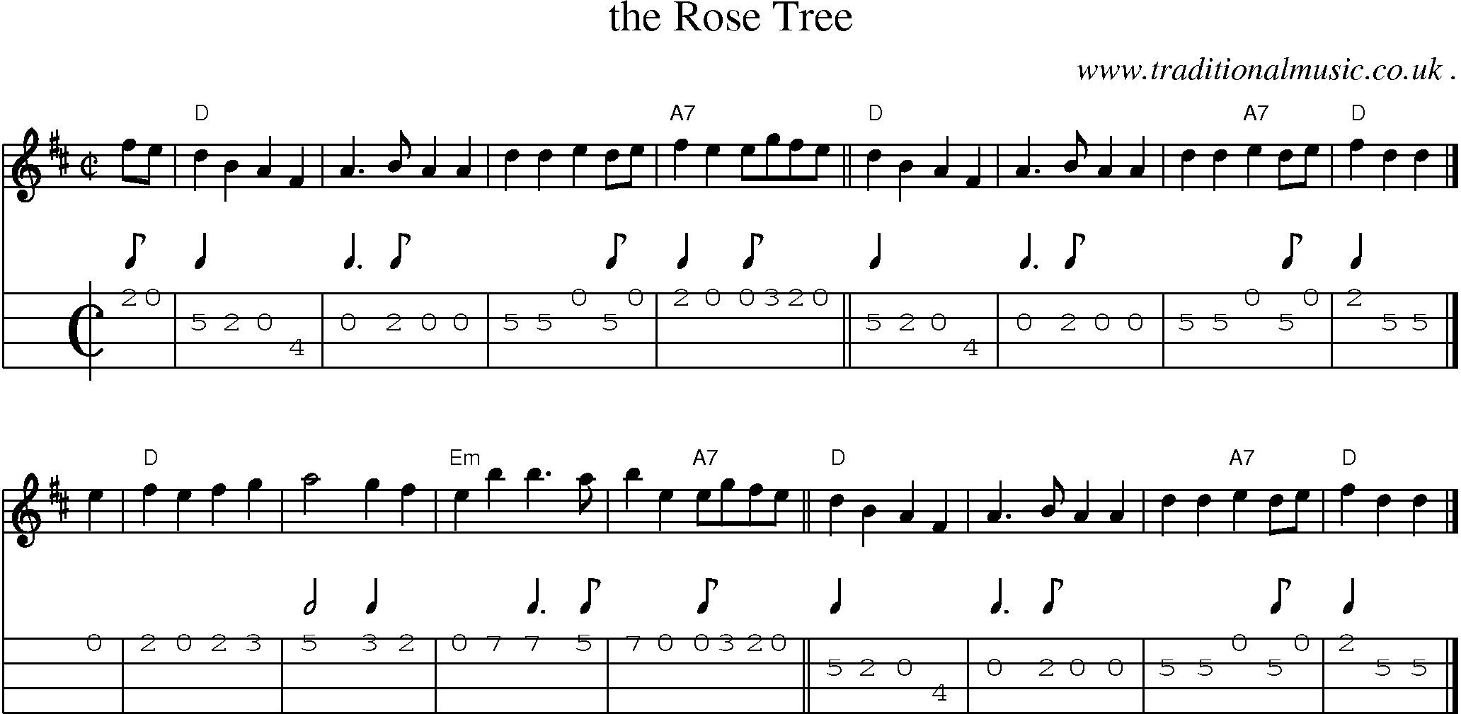 Sheet-music  score, Chords and Mandolin Tabs for The Rose Tree