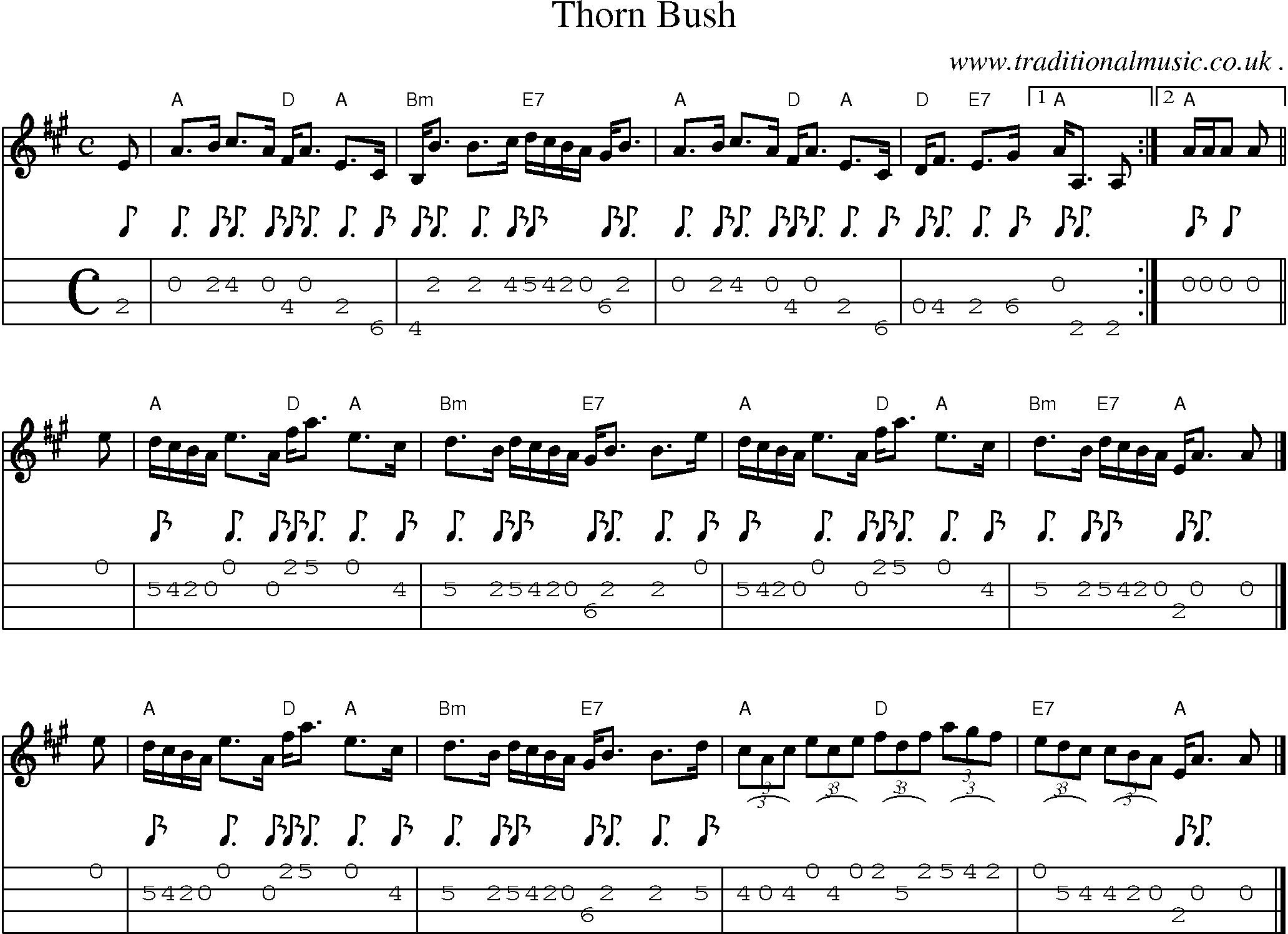 Sheet-music  score, Chords and Mandolin Tabs for Thorn Bush