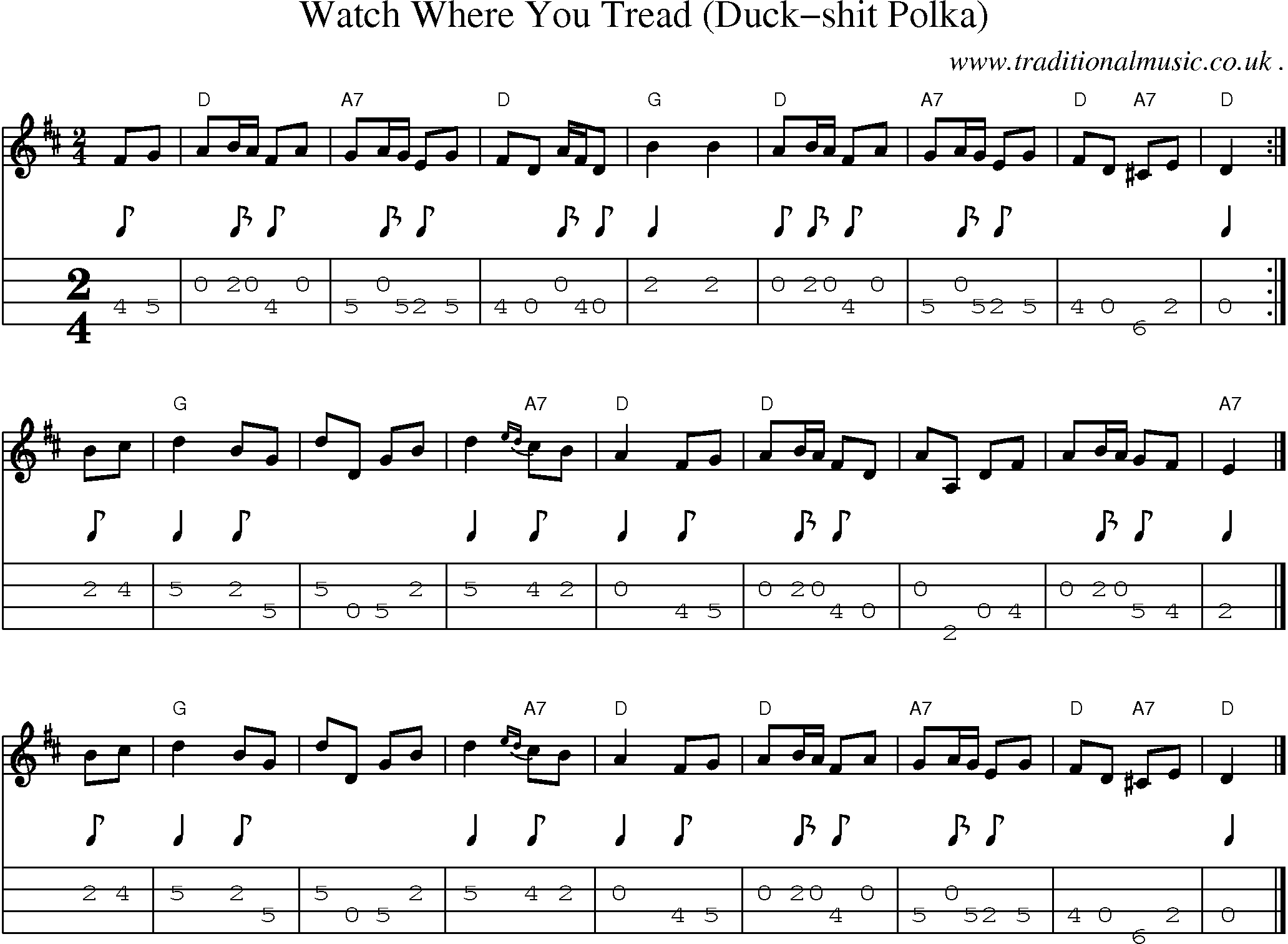 Sheet-music  score, Chords and Mandolin Tabs for Watch Where You Tread Duck-shit Polka