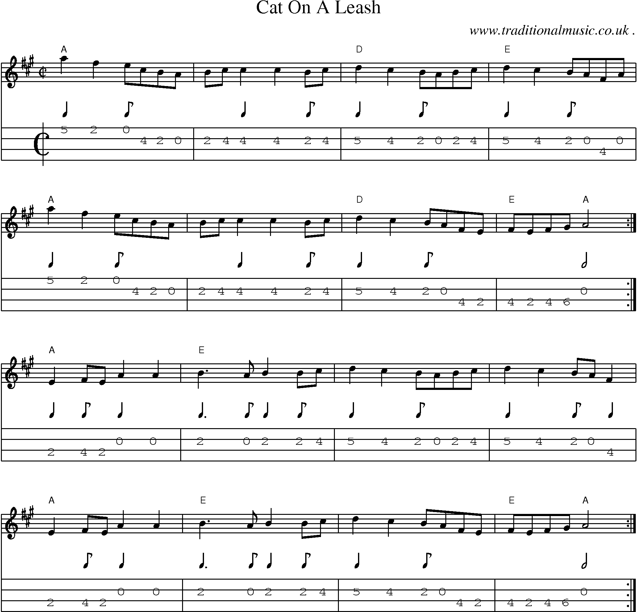 Music Score and Guitar Tabs for Cat On A Leash