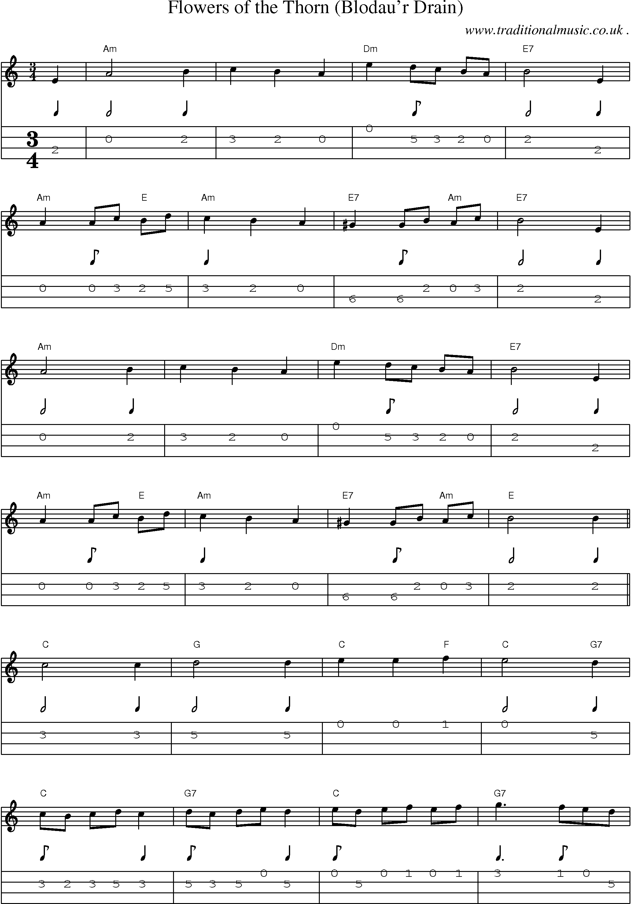 Music Score and Guitar Tabs for Flowers Of The Thorn (blodaur Drain)