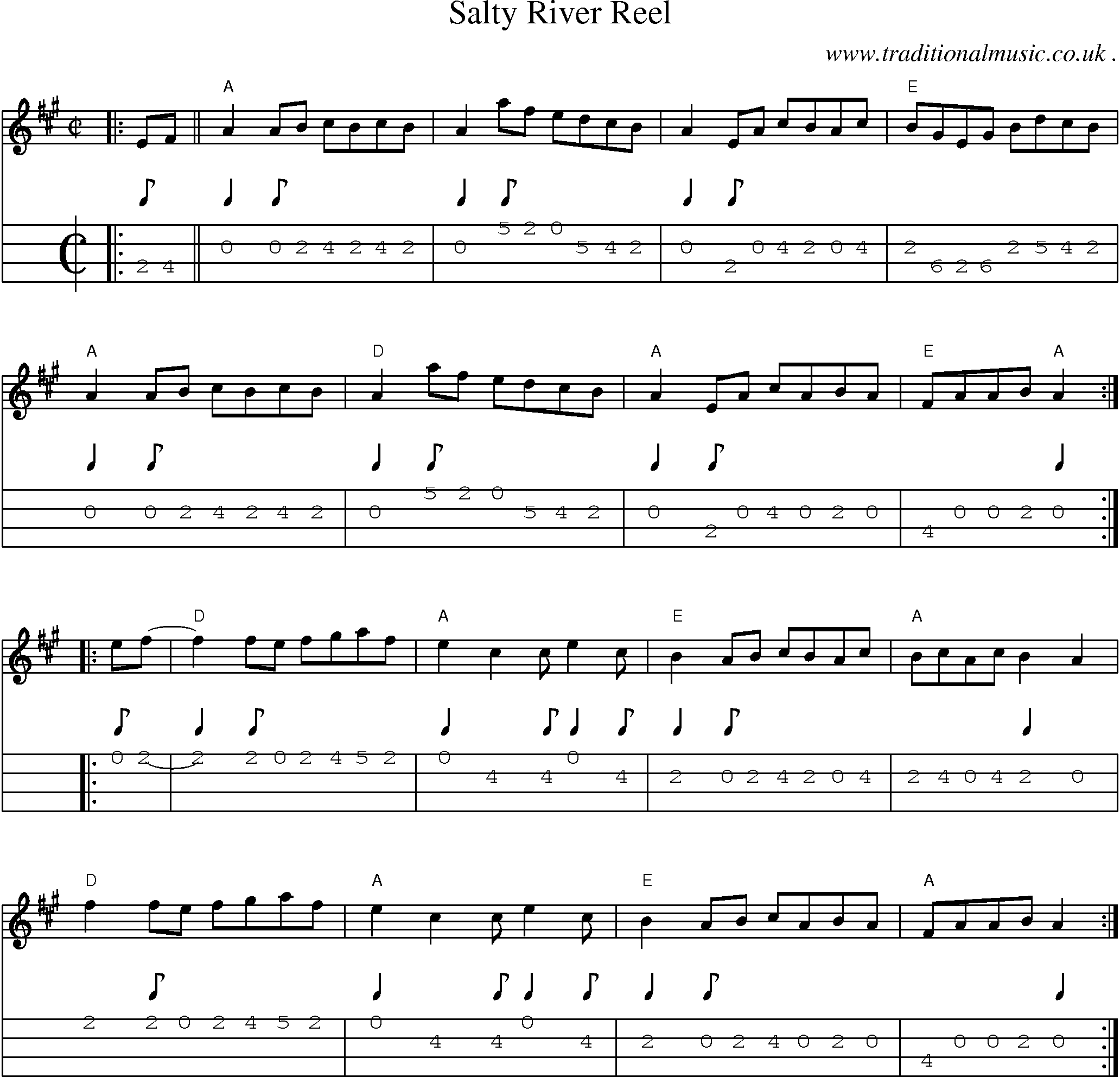 Music Score and Guitar Tabs for Salty River Reel