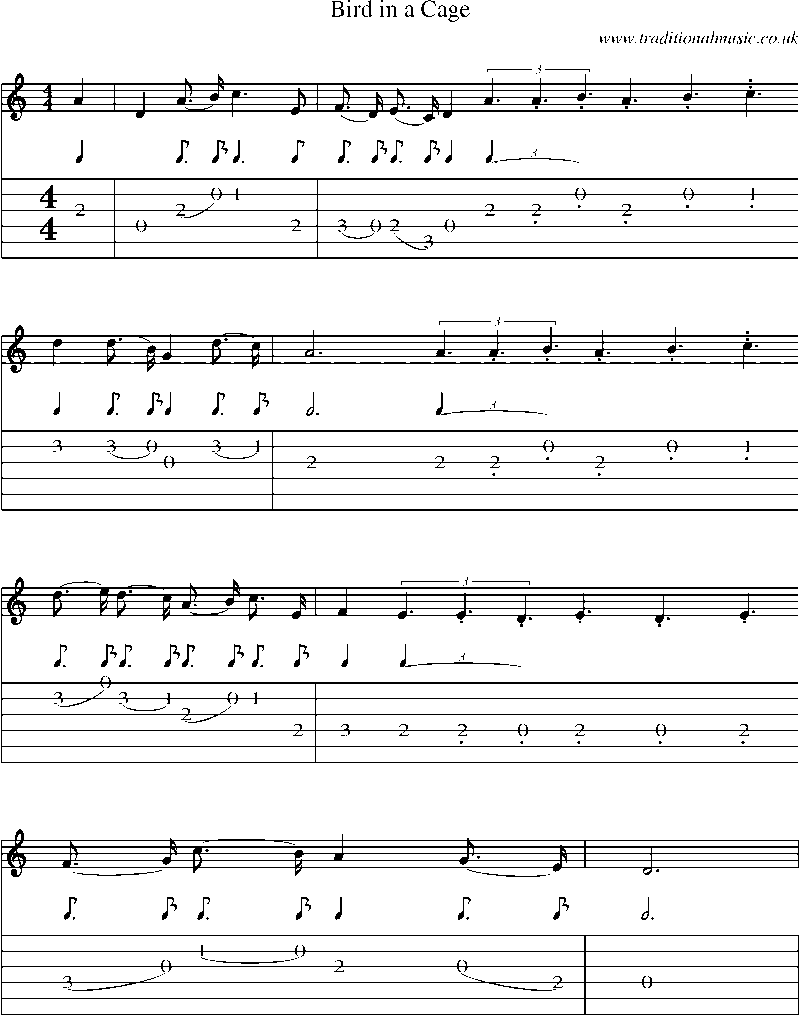 Guitar Tab and Sheet Music for Bird In A Cage