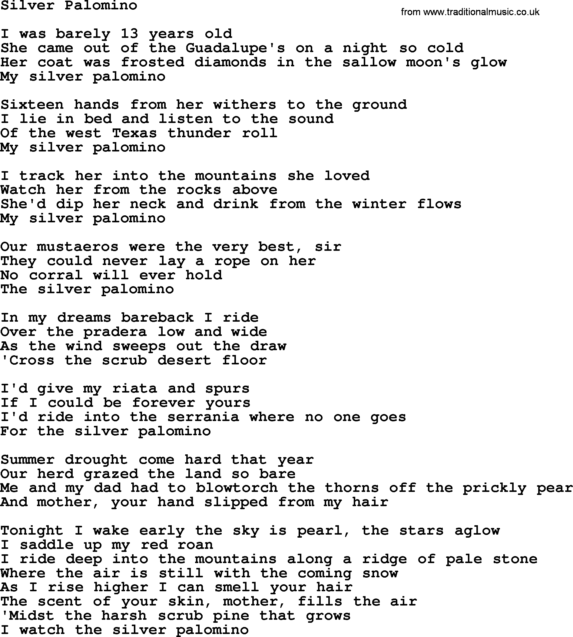 Bruce Springsteen song: Silver Palomino lyrics