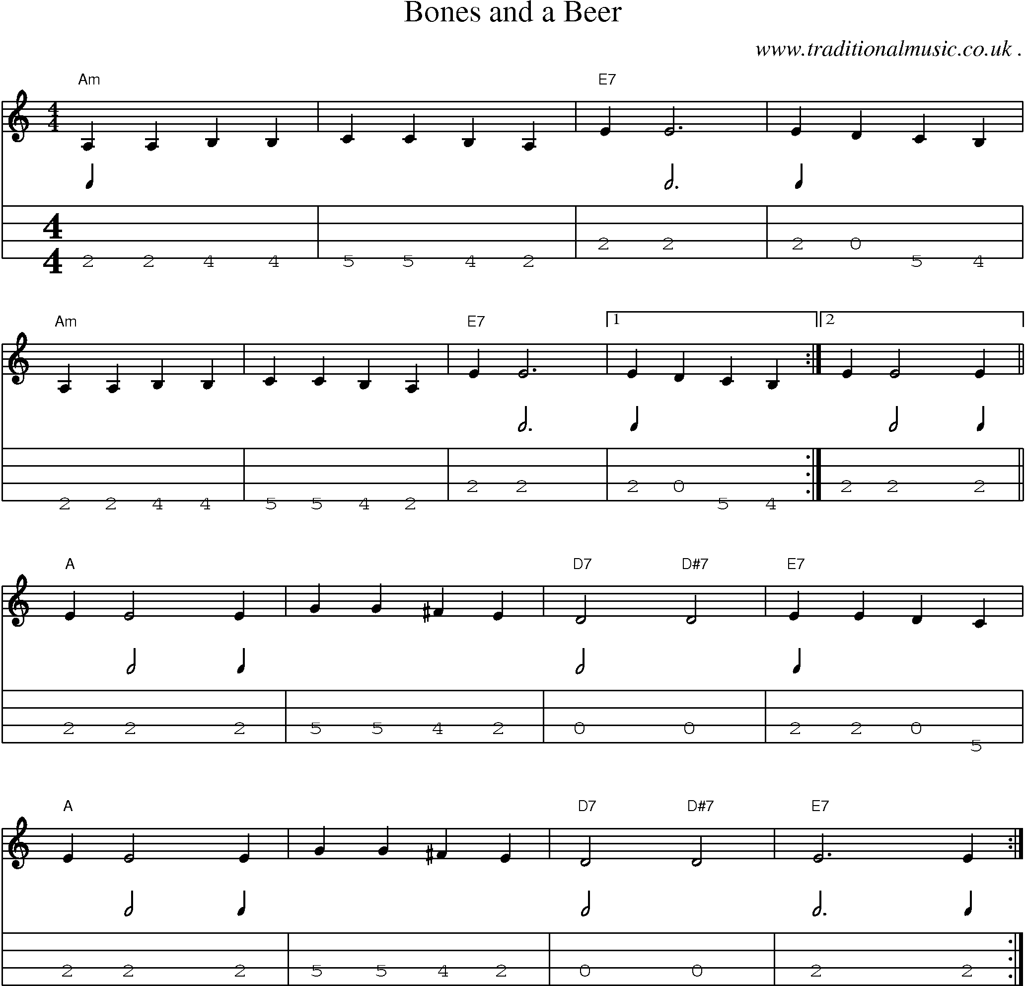 Music Score and Mandolin Tabs for Bones And A Beer