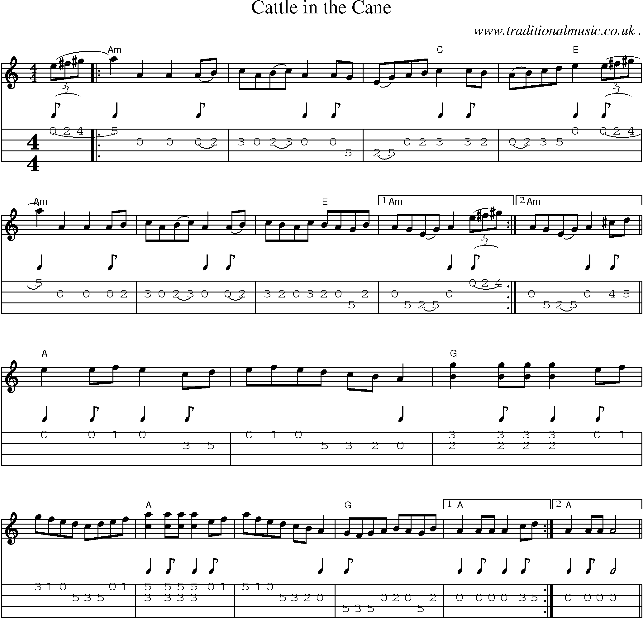 Music Score and Mandolin Tabs for Cattle In The Cane