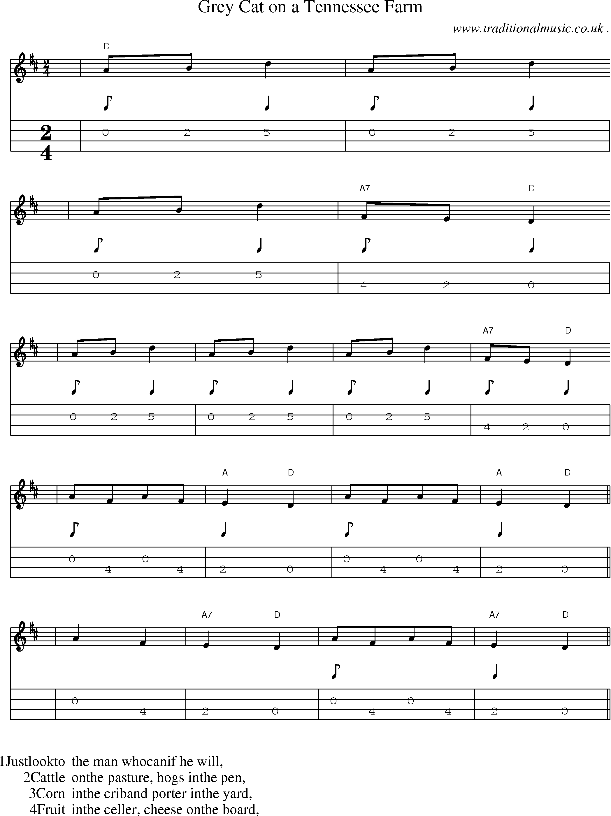 Music Score and Mandolin Tabs for Grey Cat On A Tennessee Farm