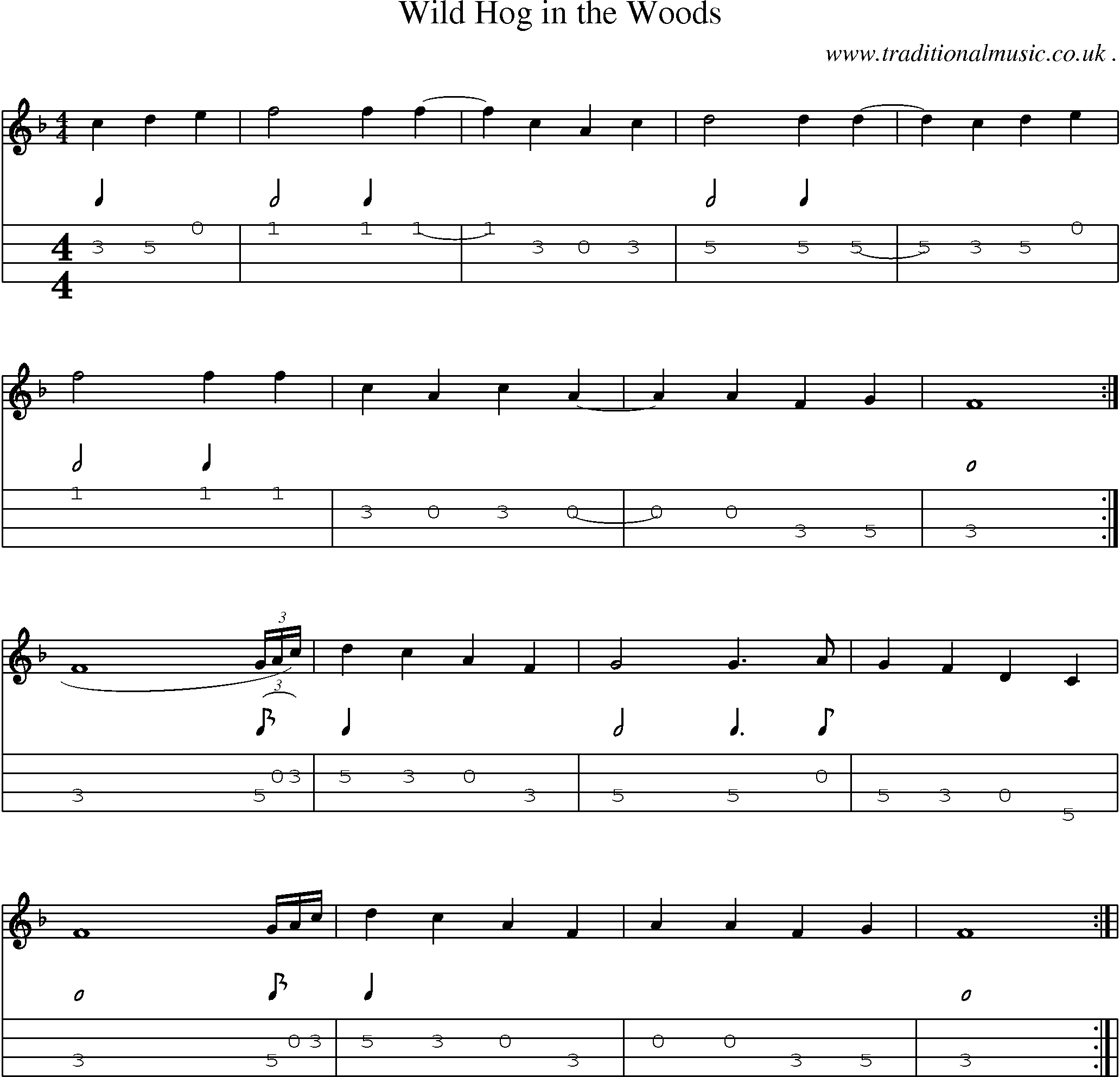 Music Score and Mandolin Tabs for Wild Hog In The Woods