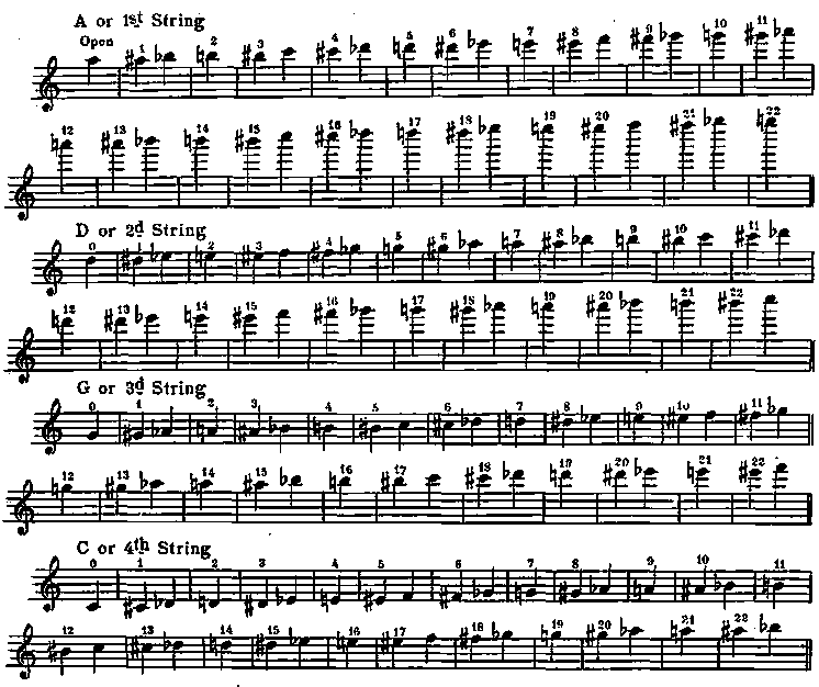 New Method for Tenor Banjo - online tutorial, P0107