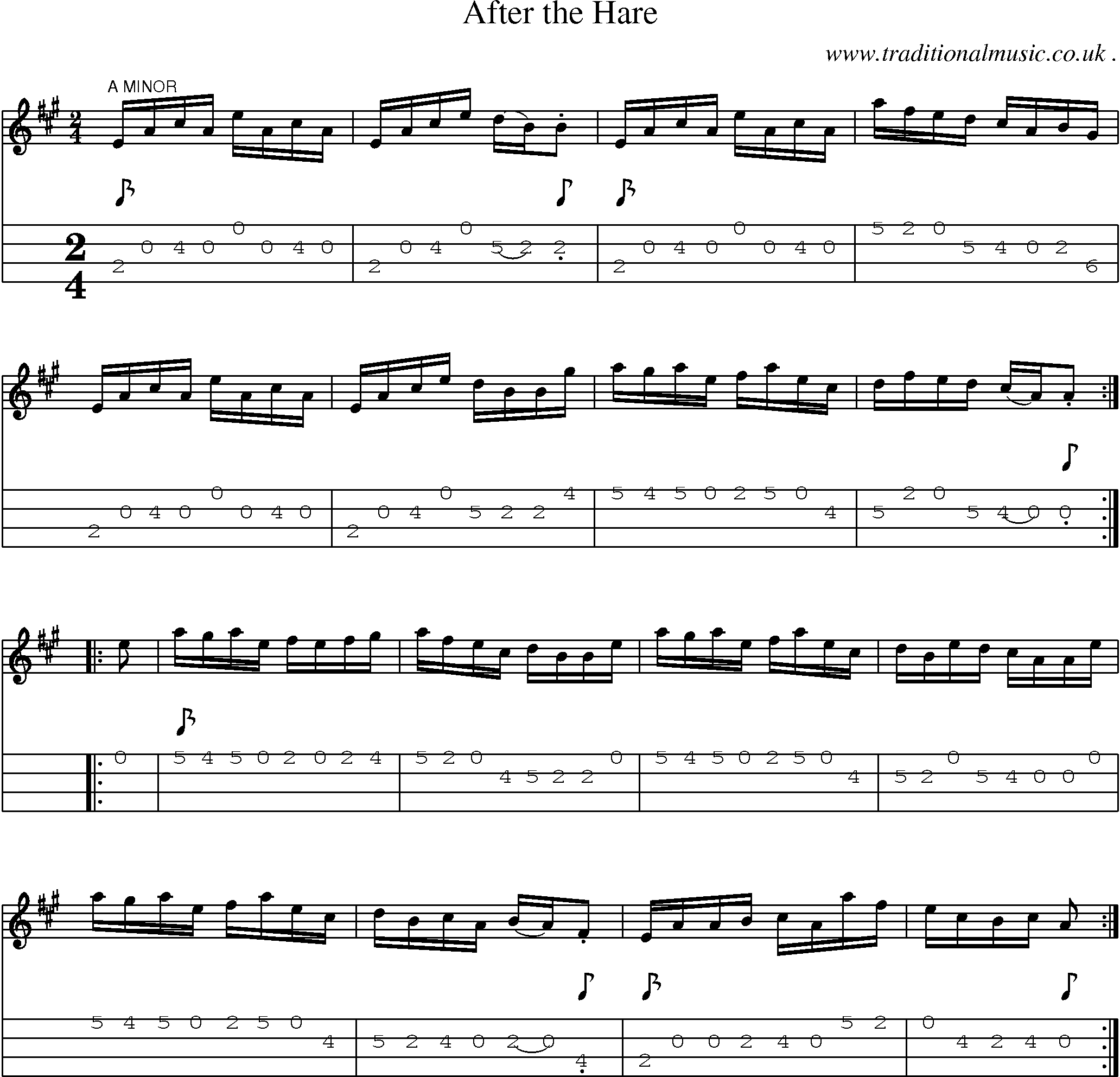 Sheet-Music and Mandolin Tabs for After The Hare