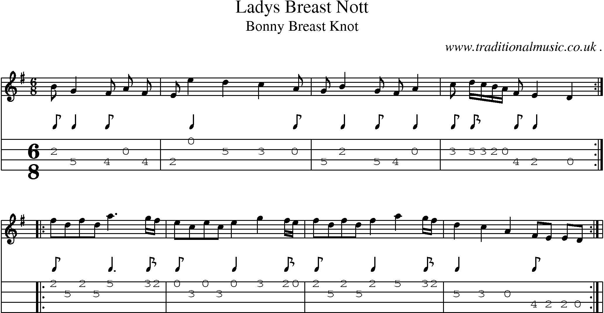 Sheet-Music and Mandolin Tabs for Ladys Breast Nott