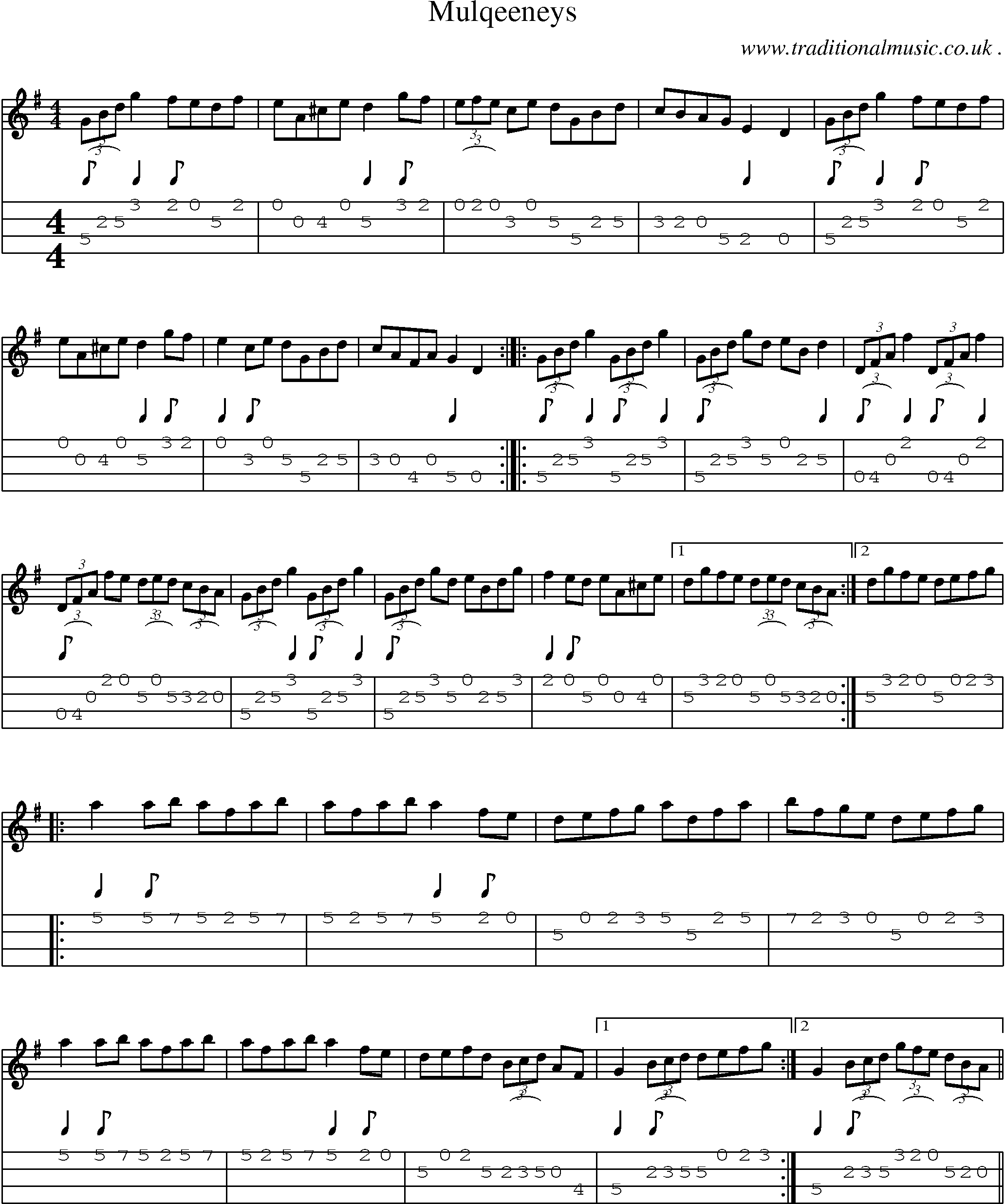 Sheet-Music and Mandolin Tabs for Mulqeeneys