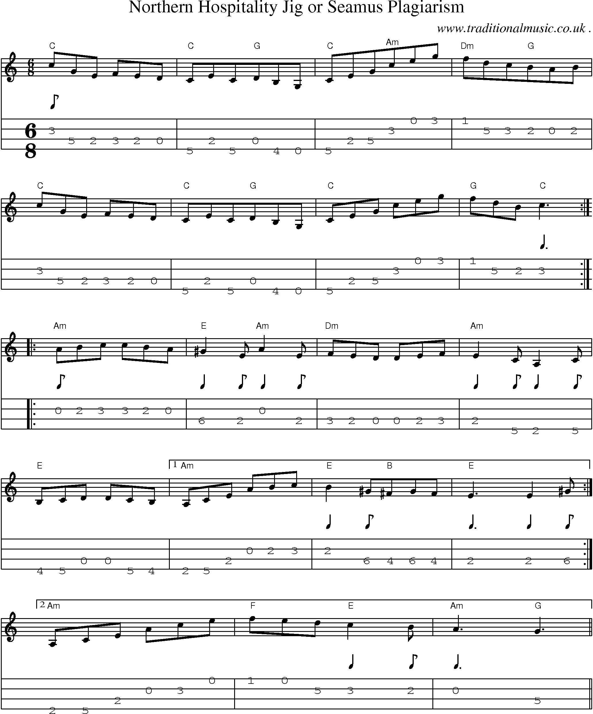 Sheet-Music and Mandolin Tabs for Northern Hospitality Jig Or Seamus Plagiarism