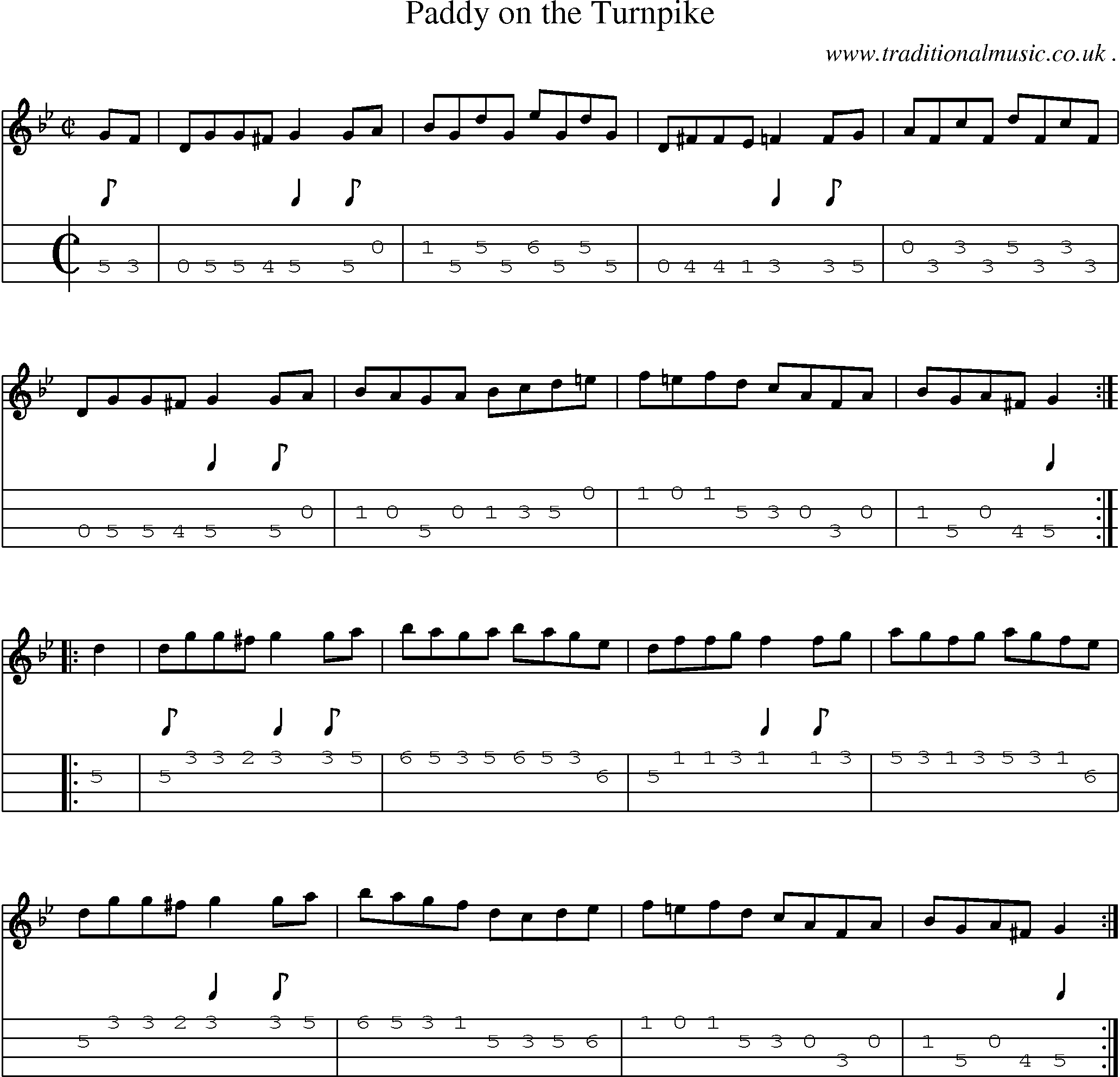 Sheet-Music and Mandolin Tabs for Paddy On The Turnpike