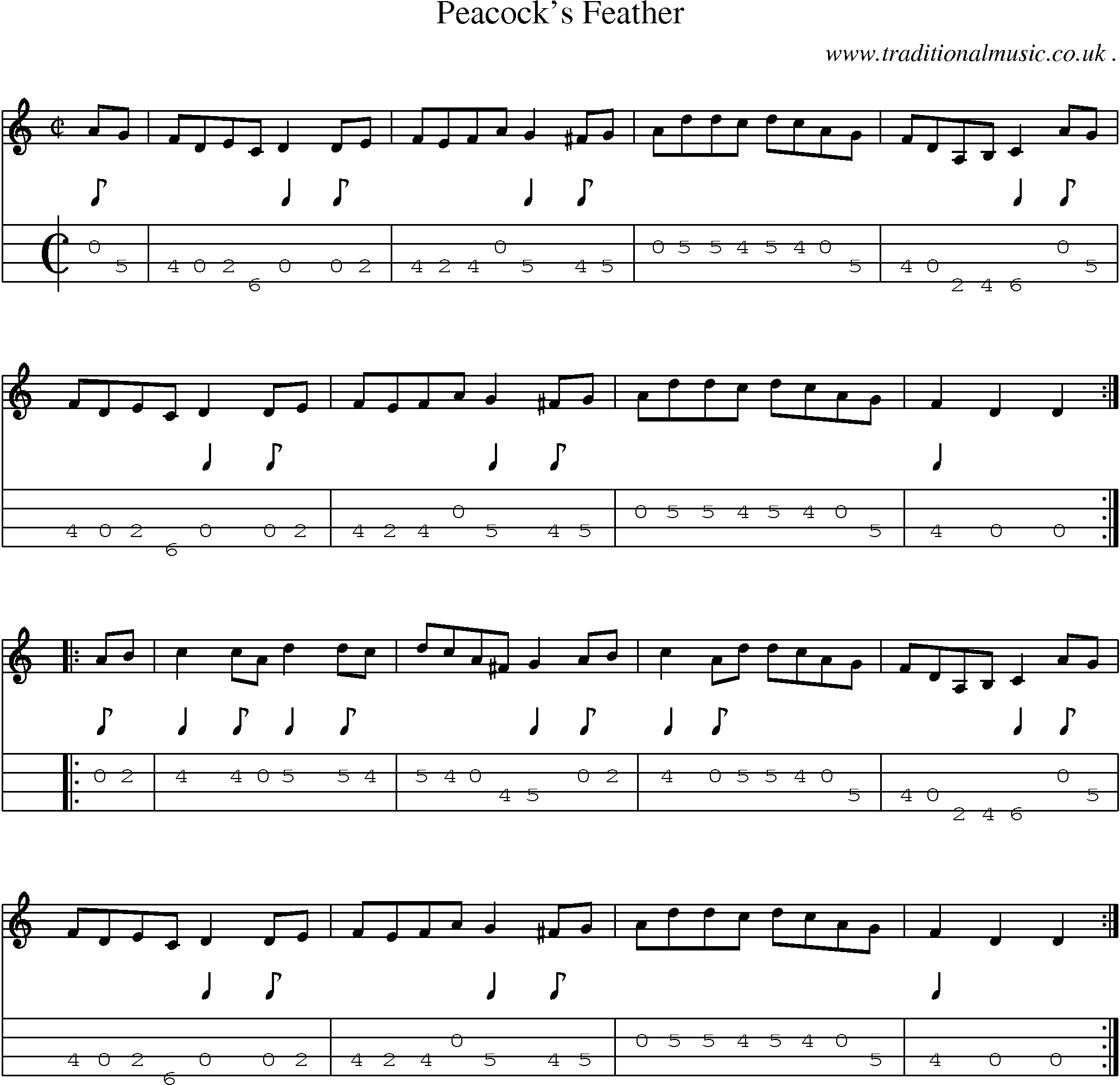 Sheet-Music and Mandolin Tabs for Peacocks Feather