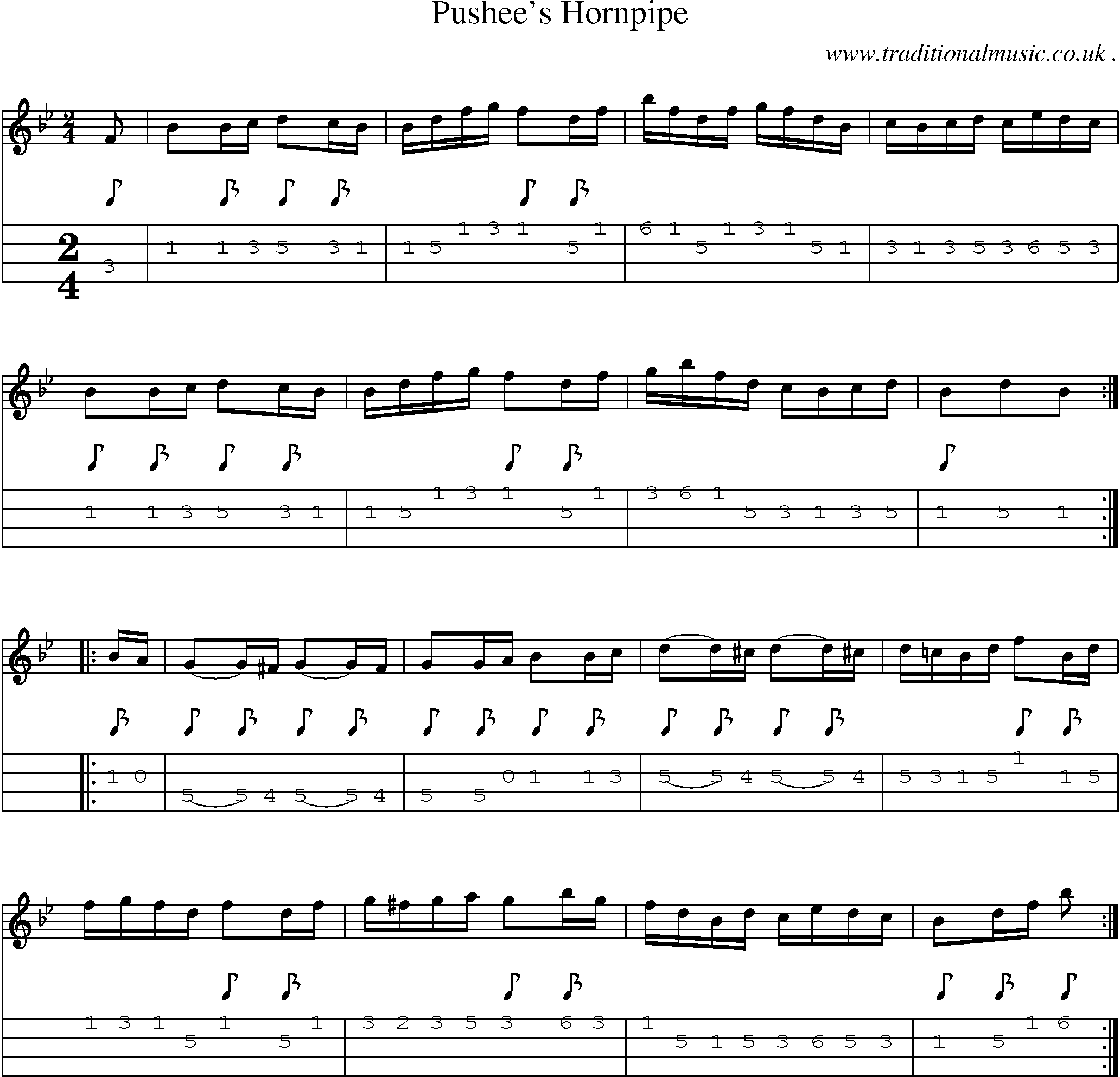 Sheet-Music and Mandolin Tabs for Pushees Hornpipe