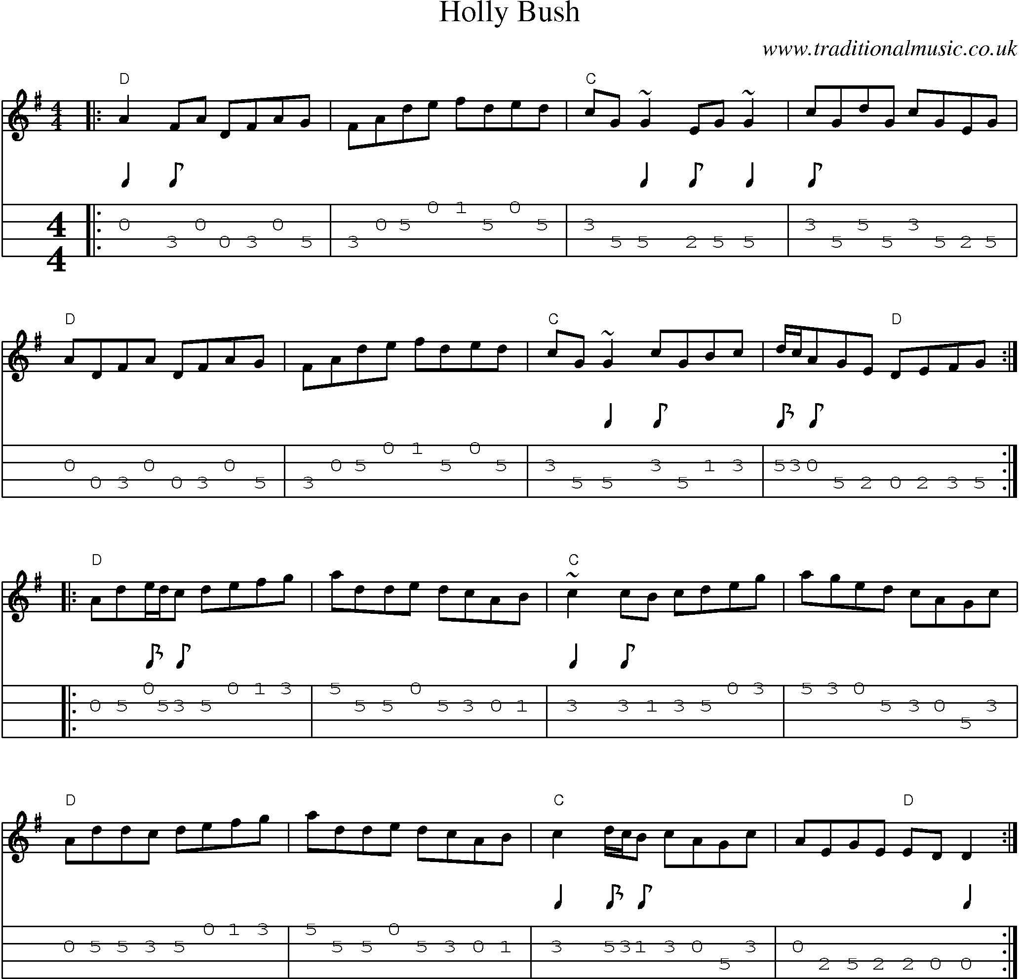 Music Score and Mandolin Tabs for Holly Bush