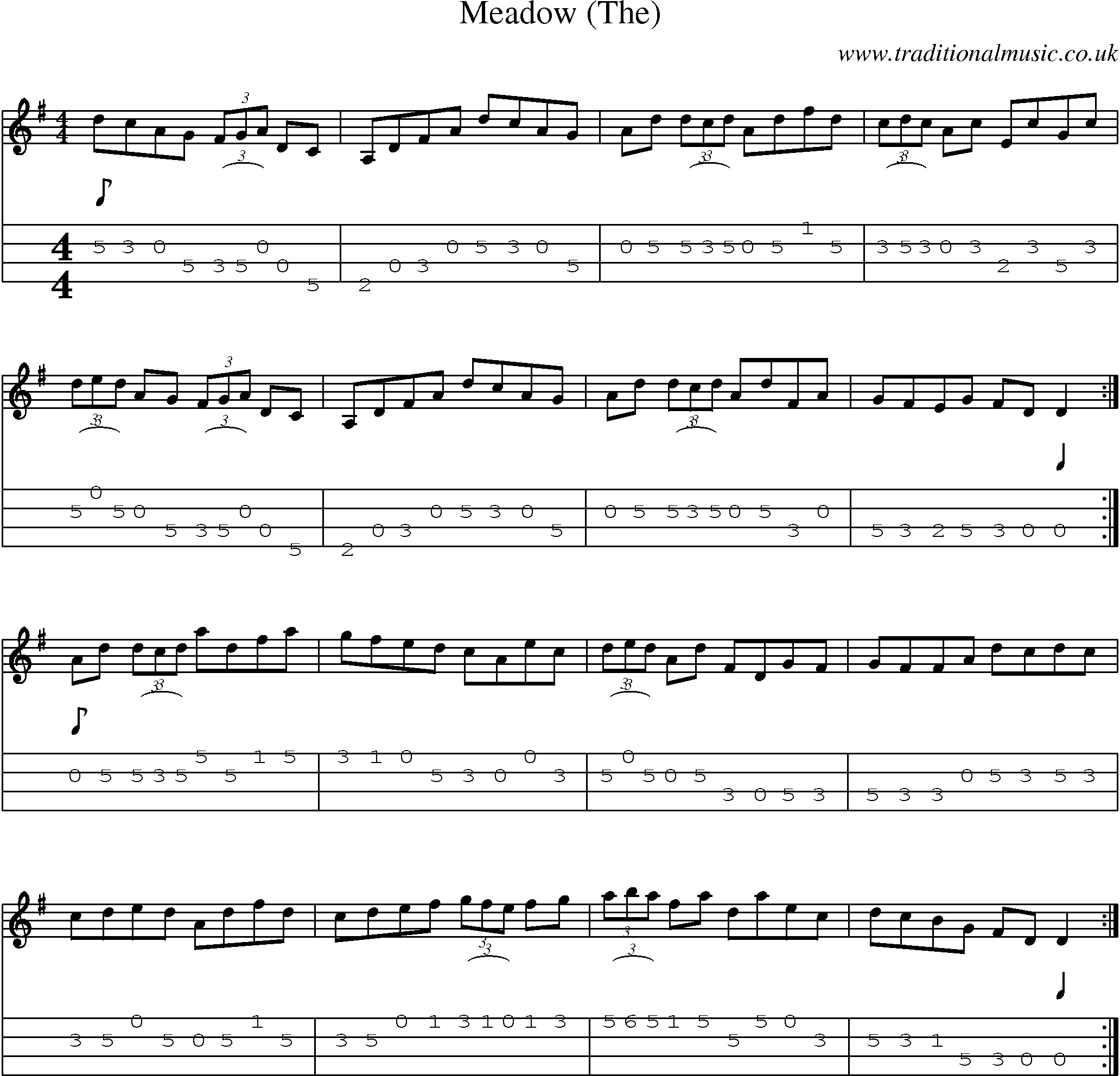 Music Score and Mandolin Tabs for Meadow (the)