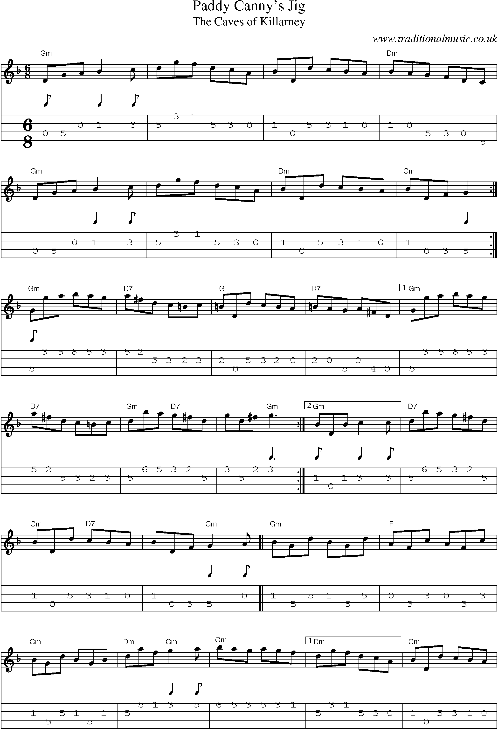 Music Score and Mandolin Tabs for Paddy Cannys Jig