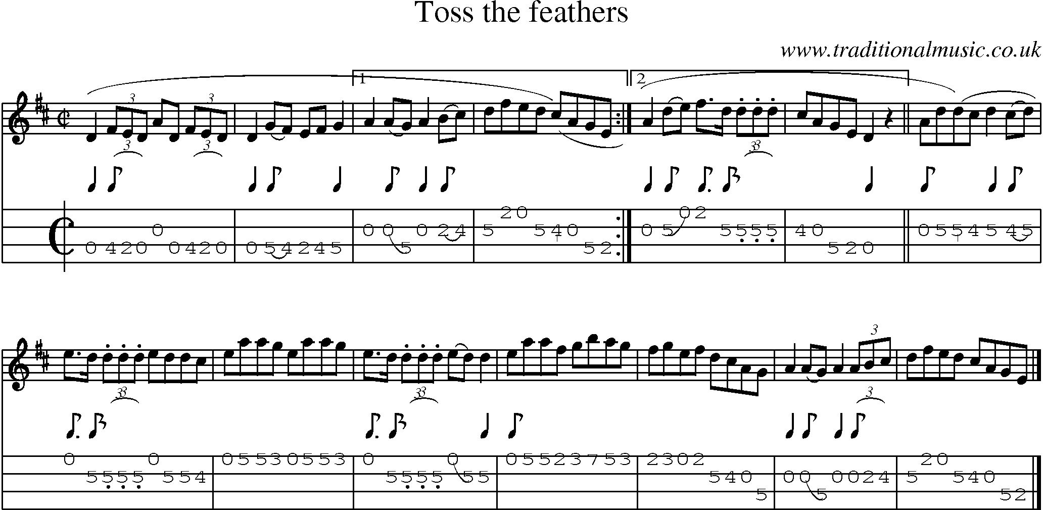 Music Score and Mandolin Tabs for Toss The Feathers