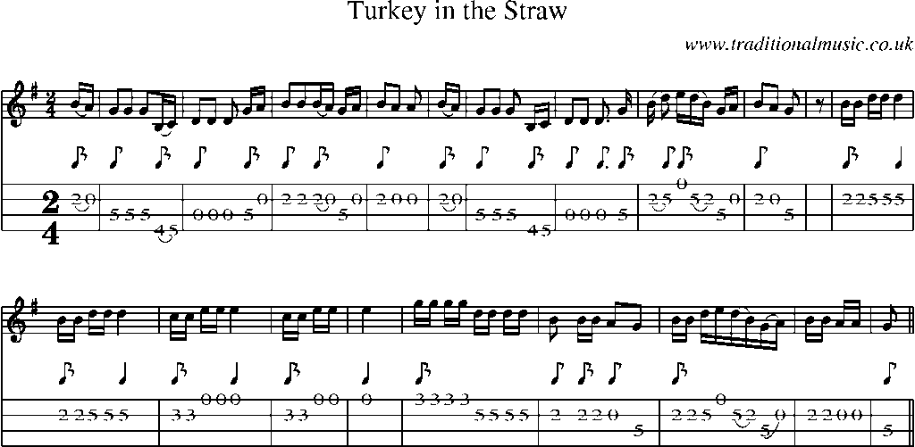 Mandolin Tab and Sheet Music for Turkey In The Straw
