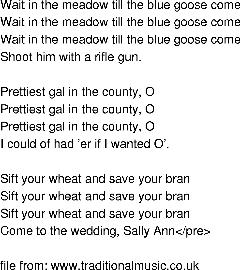 Old-Time (oldtimey) Song Lyrics - blue goose