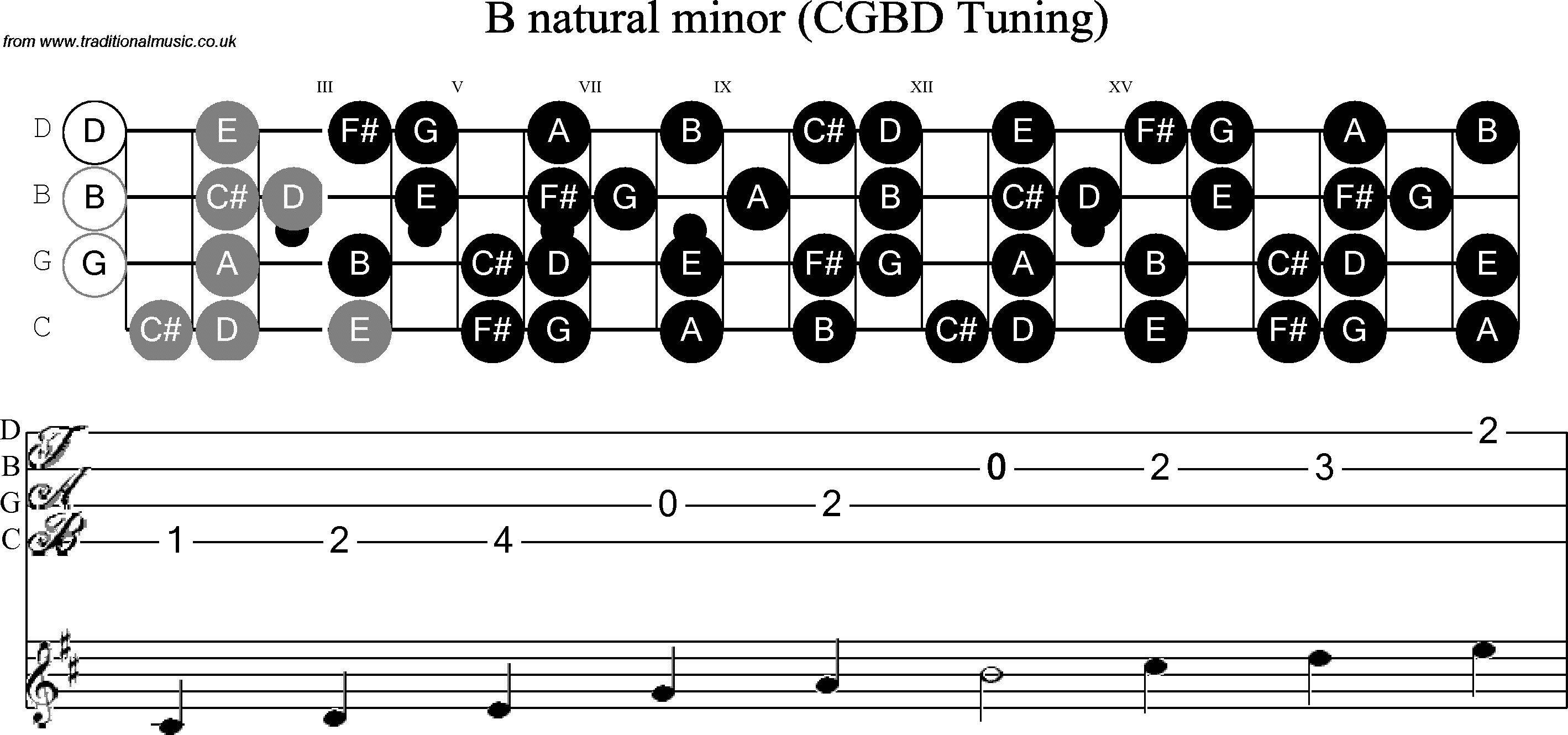 Scale, stave and neck diagram for Banjo(C / plectrunm tuned) B Minor