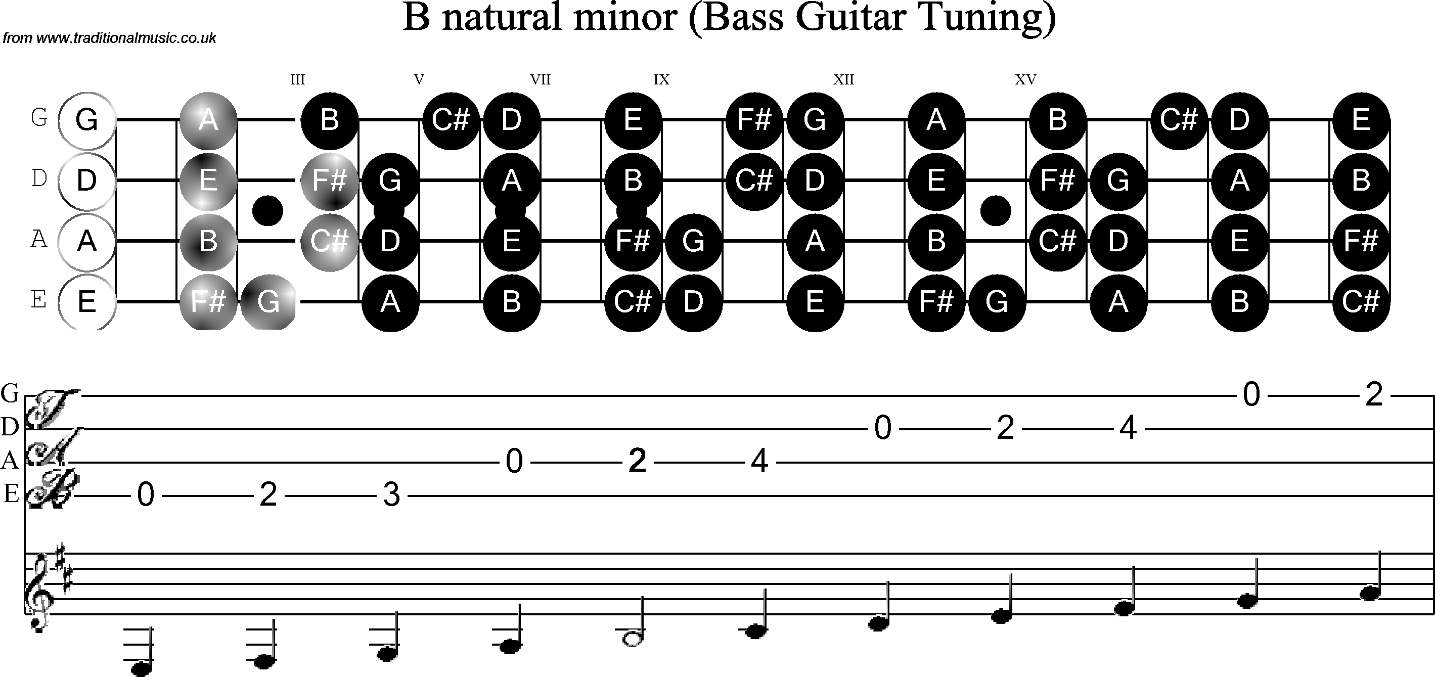 Scale, stave and neck diagram for Bass Scale B Minor
