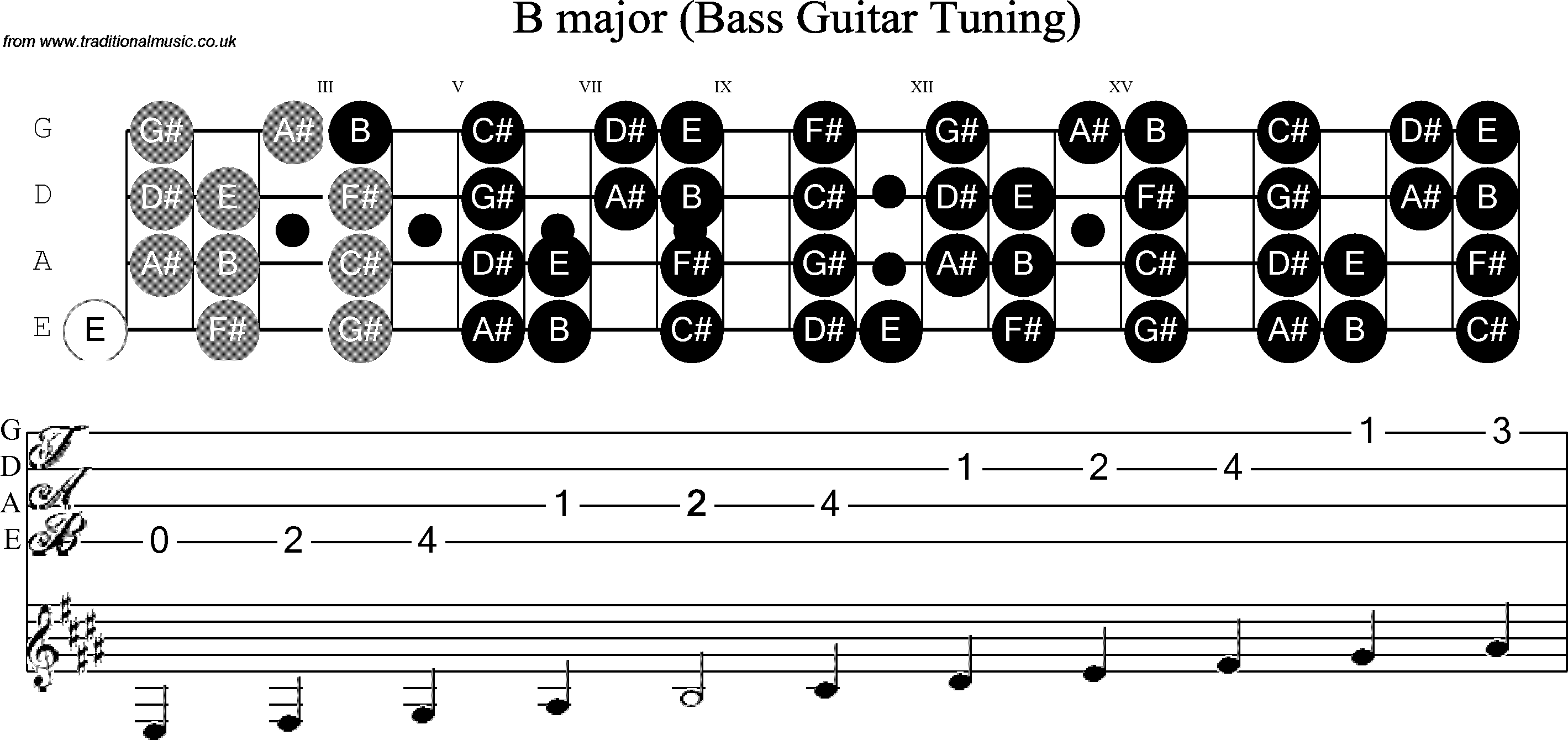 Scale, stave and neck diagram for Bass Scale B