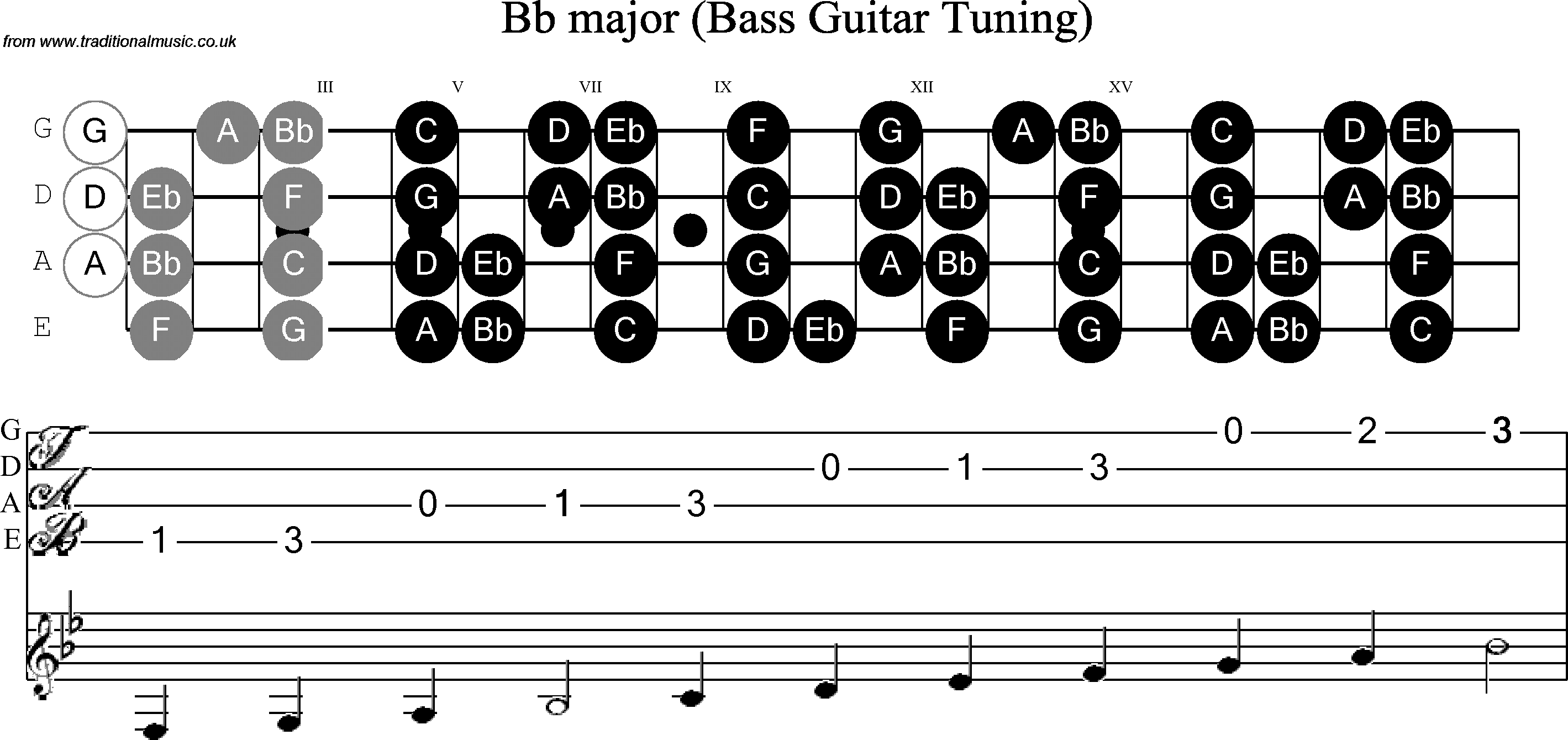 Scale, stave and neck diagram for Bass Scale Bb