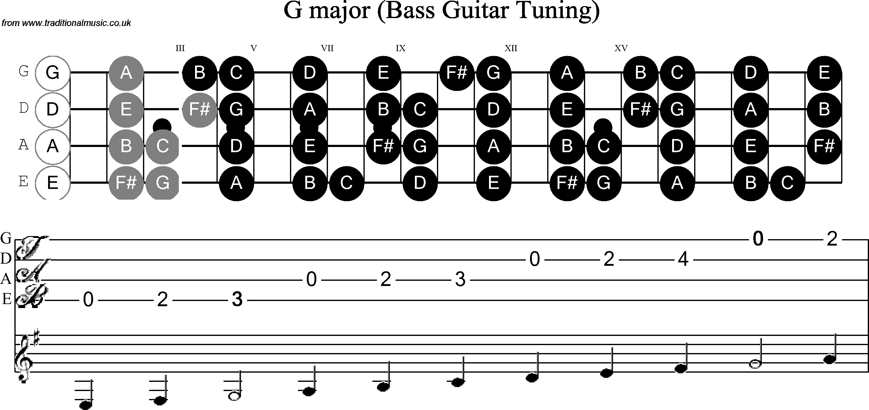Scale, stave and neck diagram for Bass Scale G