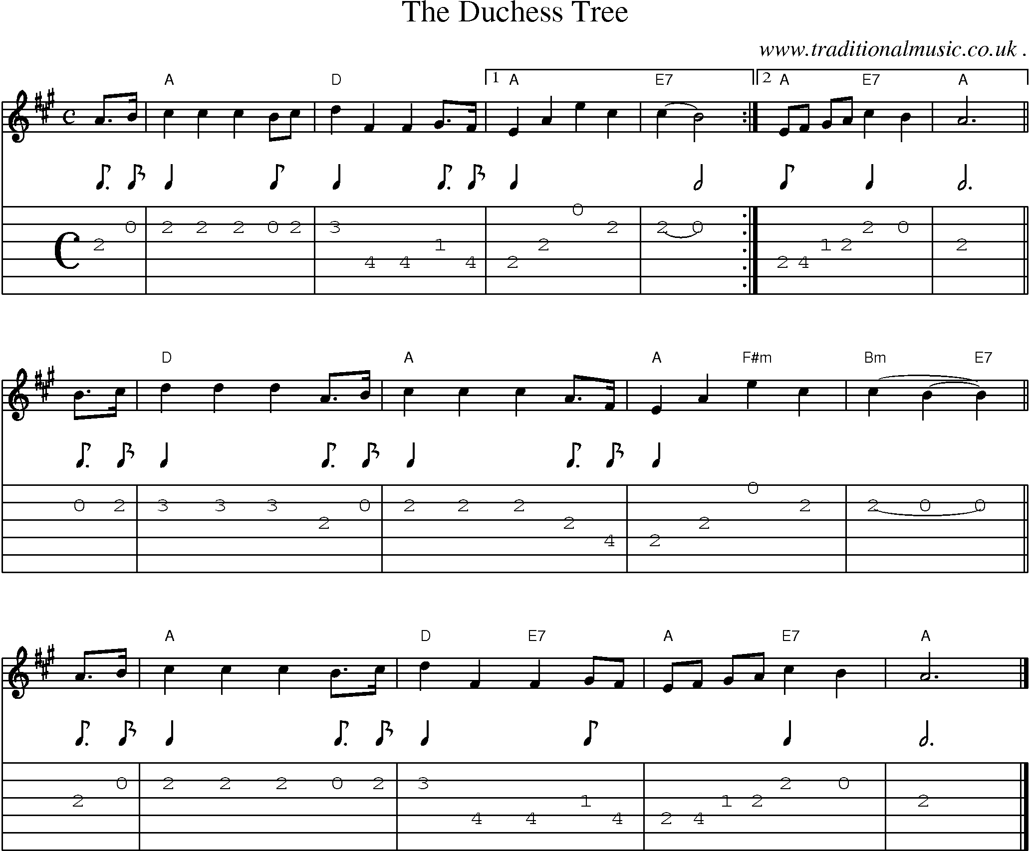 Sheet-music  score, Chords and Guitar Tabs for The Duchess Tree