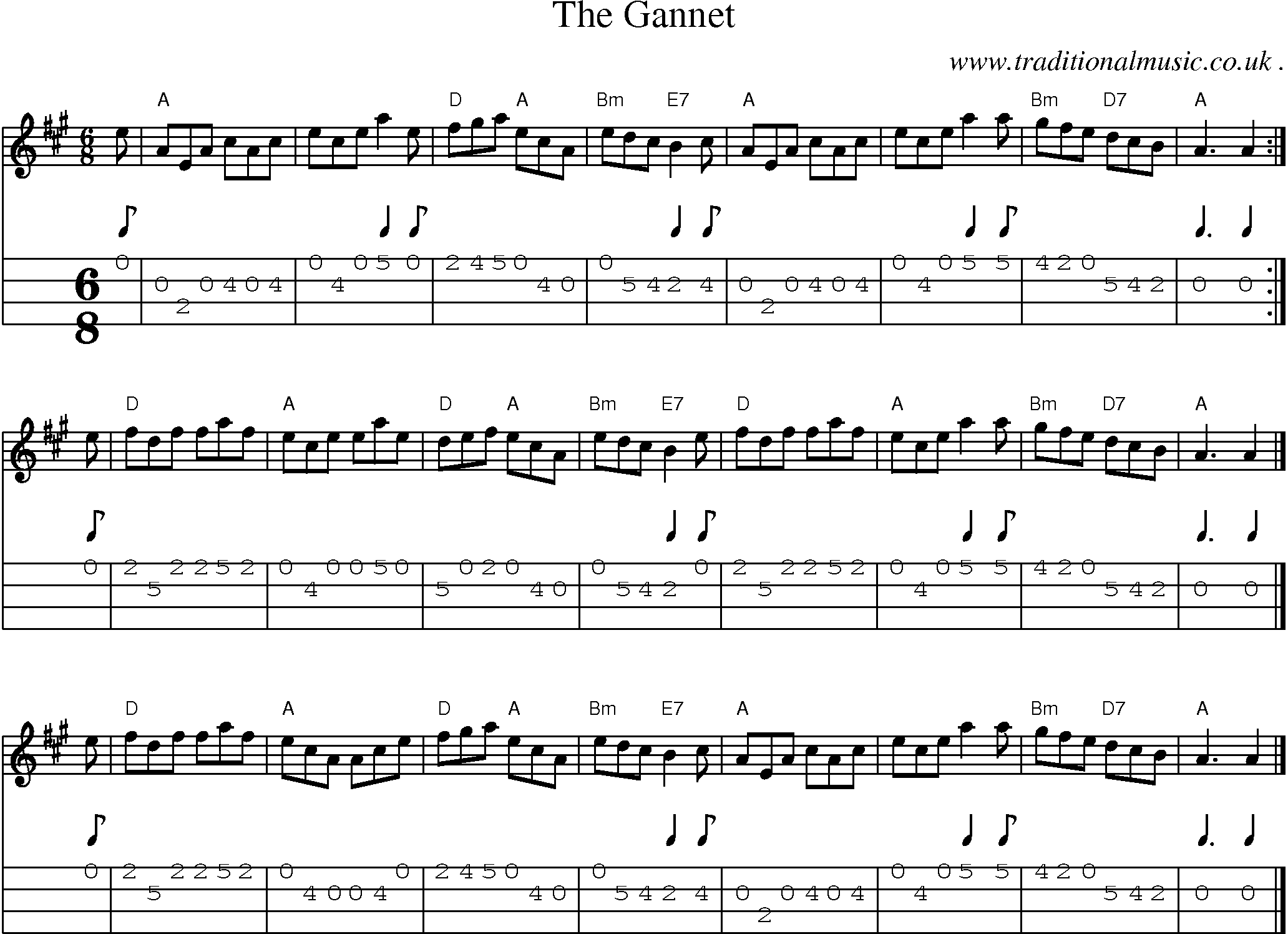 Sheet-music  score, Chords and Mandolin Tabs for The Gannet