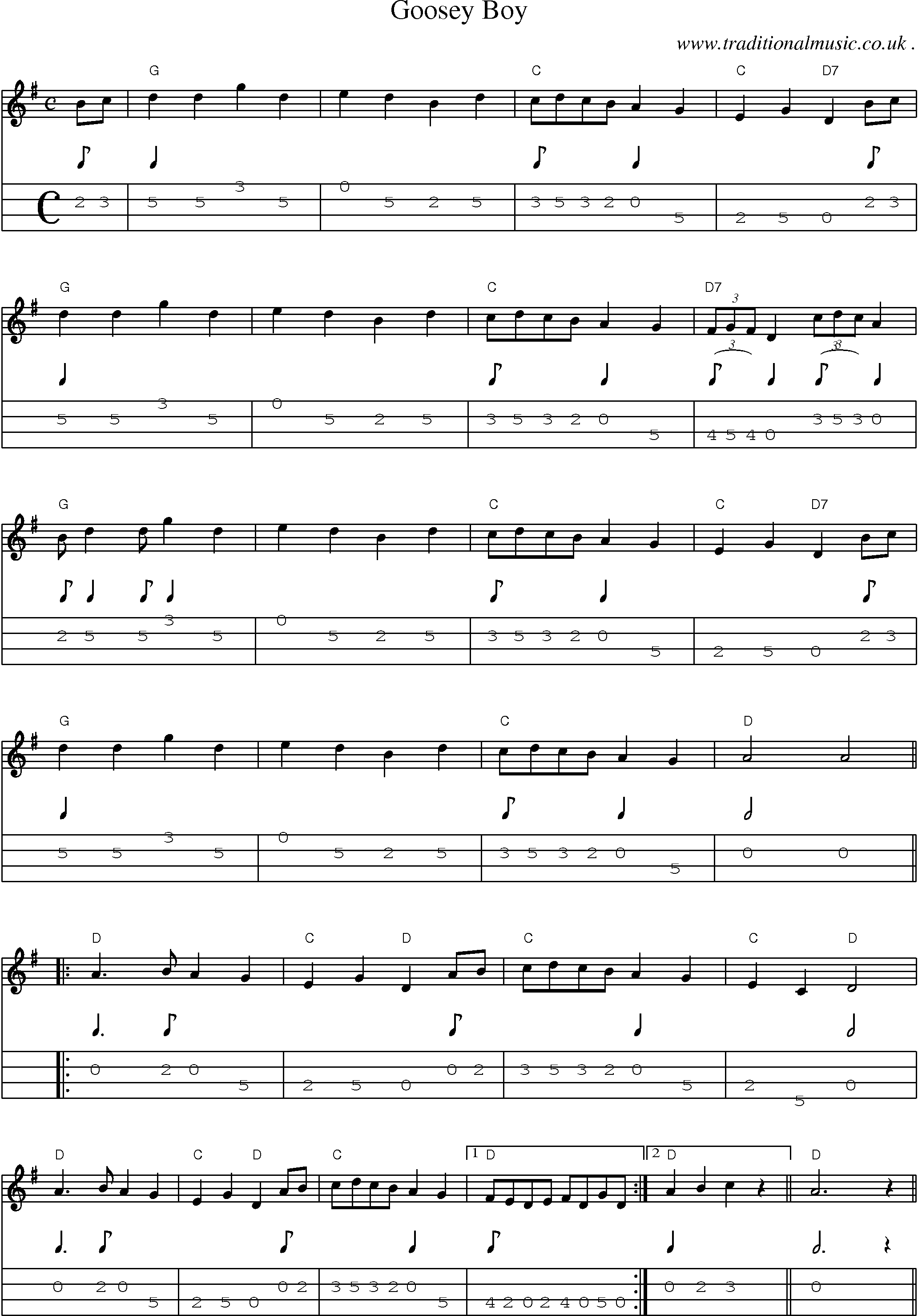Music Score and Guitar Tabs for Goosey Boy